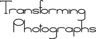 RONSLOGO.gif